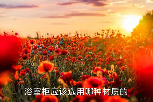 浴室柜應(yīng)該選用哪種材質(zhì)的