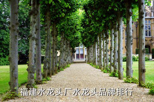福建水龍頭廠水龍頭品牌排行