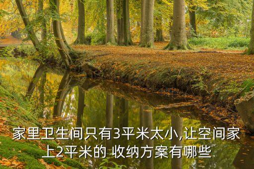 衛(wèi)浴好物收納設(shè)計圖片,衛(wèi)浴收納設(shè)計說明