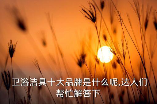  衛(wèi)浴潔具十大品牌是什么呢,達(dá)人們幫忙解答下