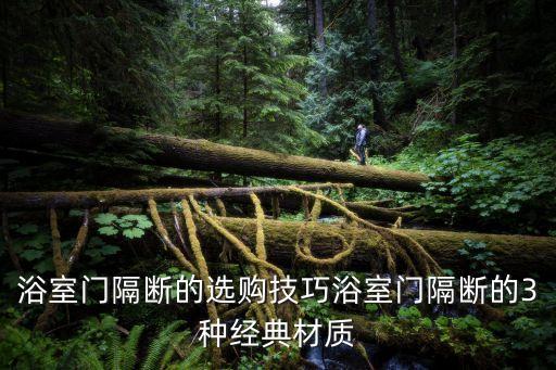 浴室門隔斷的選購技巧浴室門隔斷的3種經(jīng)典材質(zhì)