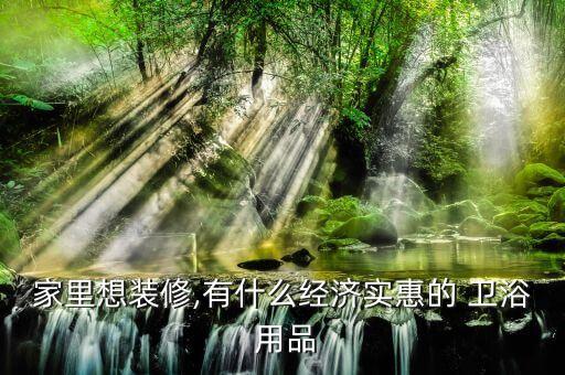 家里想裝修,有什么經(jīng)濟(jì)實(shí)惠的 衛(wèi)浴 用品