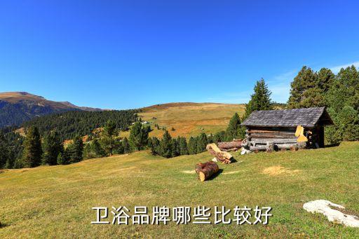  衛(wèi)浴品牌哪些比較好