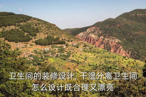 衛(wèi)生間的裝修設(shè)計(jì), 干濕分離衛(wèi)生間怎么設(shè)計(jì)既合理又漂亮