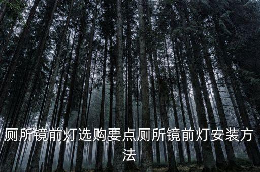 廁所鏡前燈選購(gòu)要點(diǎn)廁所鏡前燈安裝方法