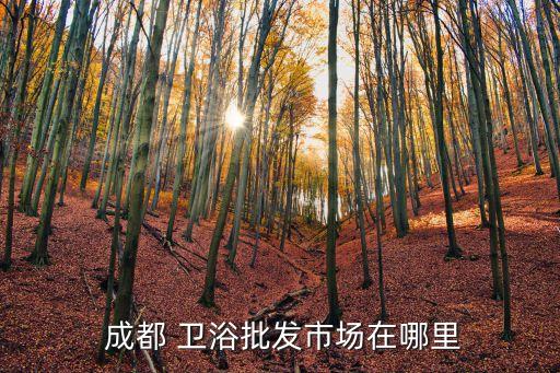  成都 衛(wèi)浴批發(fā)市場在哪里
