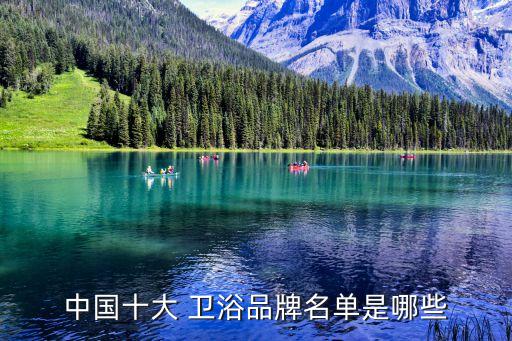 中國十大 衛(wèi)浴品牌名單是哪些
