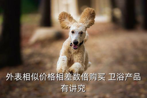 外表相似價格相差數(shù)倍購買 衛(wèi)浴產(chǎn)品有講究