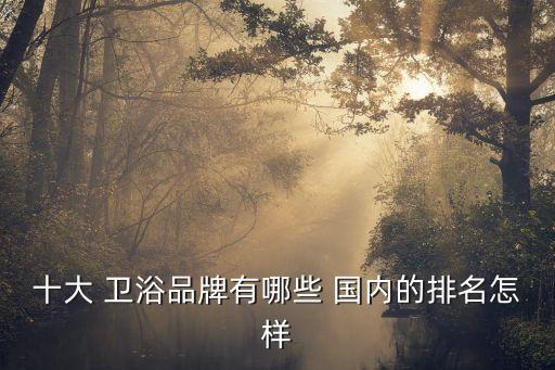無錫國內(nèi)品牌整體衛(wèi)浴,衛(wèi)浴國內(nèi)品牌排行榜前十名