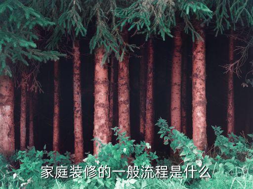 家庭裝修的一般流程是什么