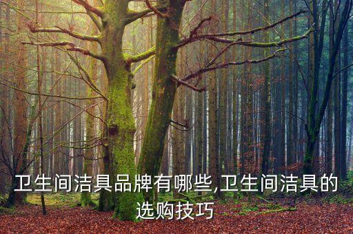 湖南一線(xiàn)品牌衛(wèi)浴價(jià)格,湖南衛(wèi)浴哪個(gè)品牌賣(mài)的好