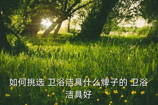 如何挑選 衛(wèi)浴潔具什么牌子的 衛(wèi)浴潔具好
