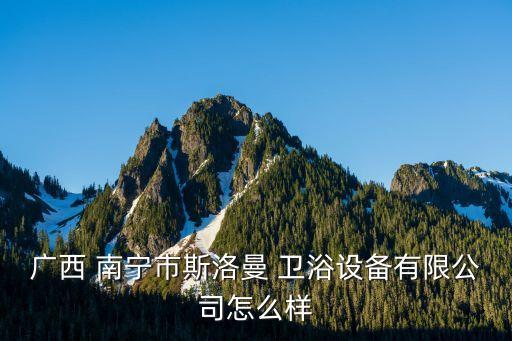 廣西 南寧市斯洛曼 衛(wèi)浴設(shè)備有限公司怎么樣
