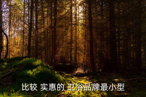 比較 實(shí)惠的 衛(wèi)浴品牌最小型