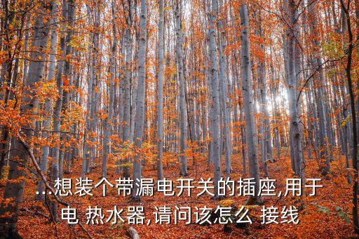 雙衛(wèi)浴熱水器接線圖片