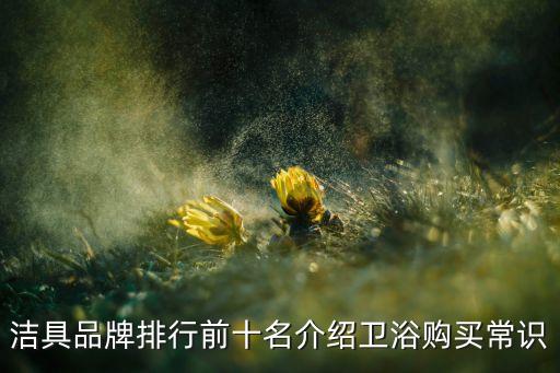 潔具品牌排行前十名介紹衛(wèi)浴購買常識(shí)
