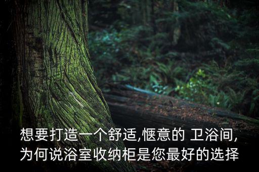 衛(wèi)浴玻璃柜門樣式設計圖片