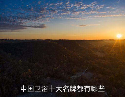 中國衛(wèi)浴十大名牌都有哪些