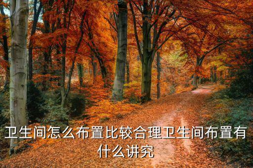 衛(wèi)生間怎么布置比較合理衛(wèi)生間布置有什么講究
