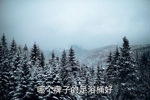 唯一衛(wèi)浴品牌穿搭風格定位