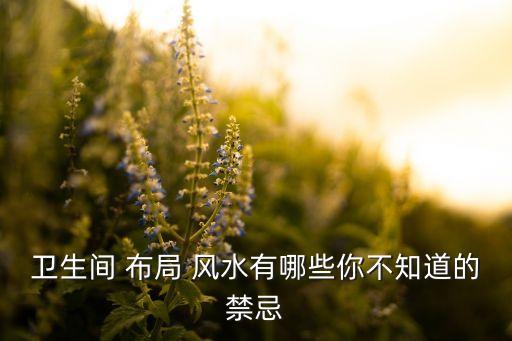 衛(wèi)生間 布局 風(fēng)水有哪些你不知道的禁忌
