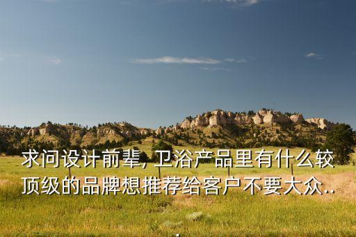 求問設(shè)計(jì)前輩, 衛(wèi)浴產(chǎn)品里有什么較頂級(jí)的品牌想推薦給客戶不要大眾...