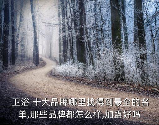  衛(wèi)浴 十大品牌哪里找得到最全的名單,那些品牌都怎么樣,加盟好嗎