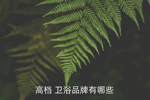 高檔 衛(wèi)浴品牌有哪些