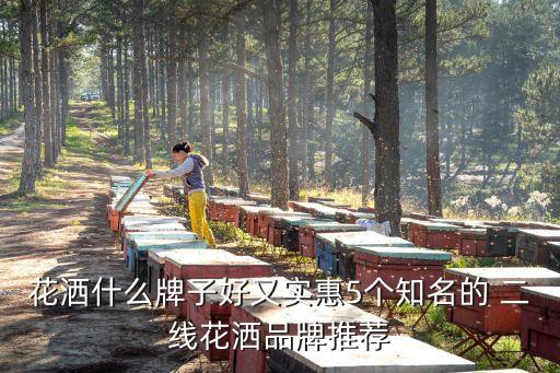 花灑什么牌子好又實(shí)惠5個(gè)知名的 二線花灑品牌推薦