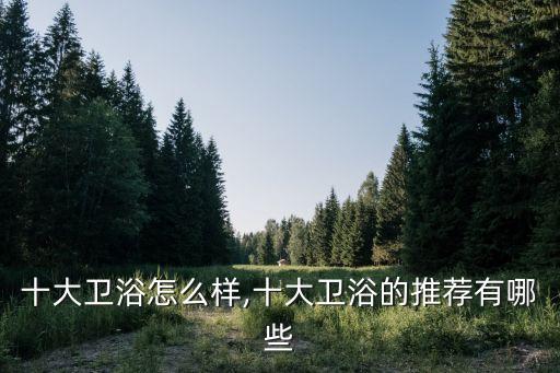 泰高衛(wèi)浴品牌質(zhì)量怎么樣