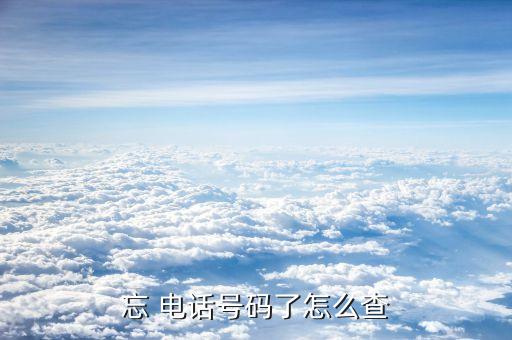 忘 電話號碼了怎么查