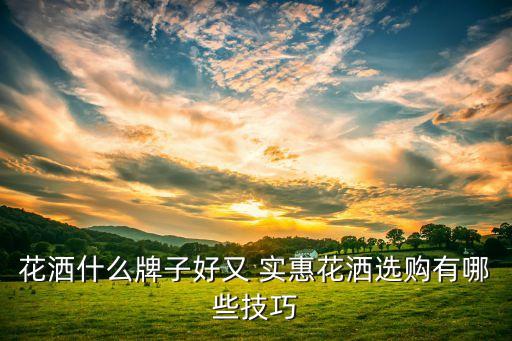 衛(wèi)浴品牌怎么選實惠又便宜