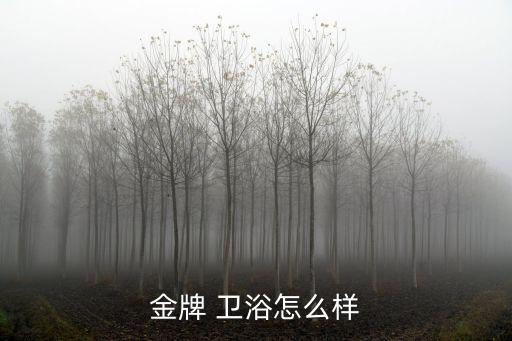 金牌 衛(wèi)浴怎么樣