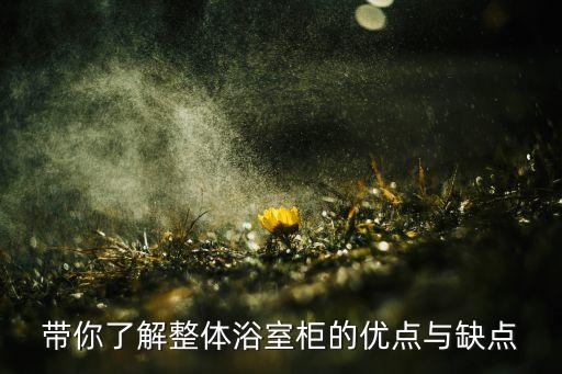 帶你了解整體浴室柜的優(yōu)點與缺點