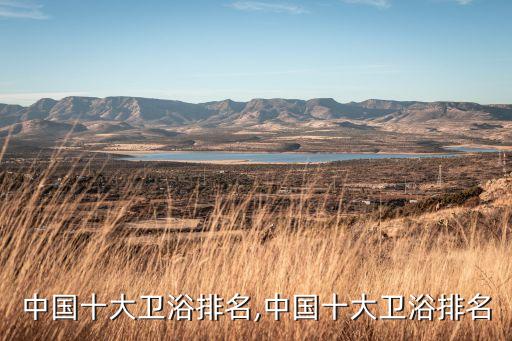 中國十大衛(wèi)浴排名,中國十大衛(wèi)浴排名