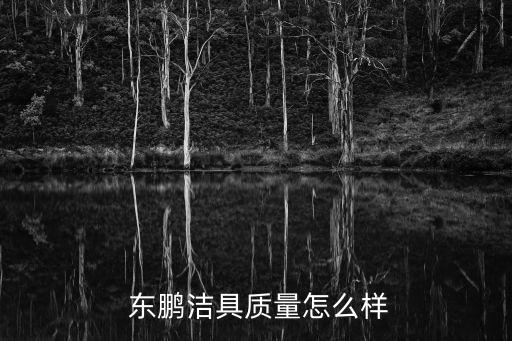  東鵬潔具質(zhì)量怎么樣