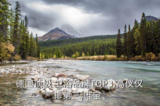 德國頂級 衛(wèi)浴品牌TOP3,高儀僅排第三,唯寶、