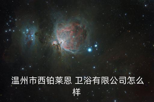  溫州市西鉑萊恩 衛(wèi)浴有限公司怎么樣