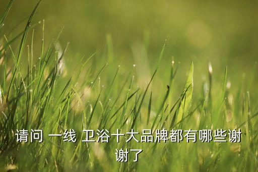 國內(nèi)一線的衛(wèi)浴品牌