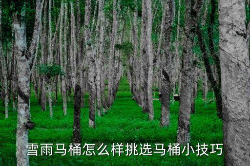雪雨馬桶怎么樣挑選馬桶小技巧