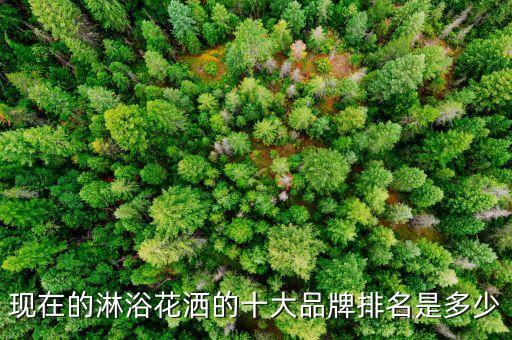 雅生衛(wèi)浴推薦品牌是哪個(gè)