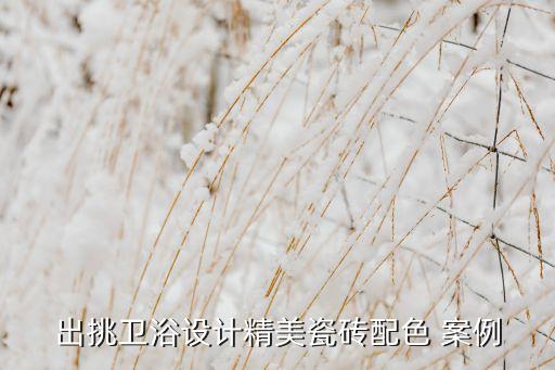 出挑衛(wèi)浴設(shè)計(jì)精美瓷磚配色 案例