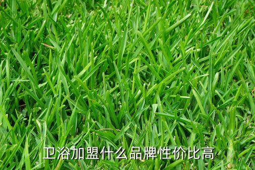  衛(wèi)浴加盟什么品牌性價(jià)比高