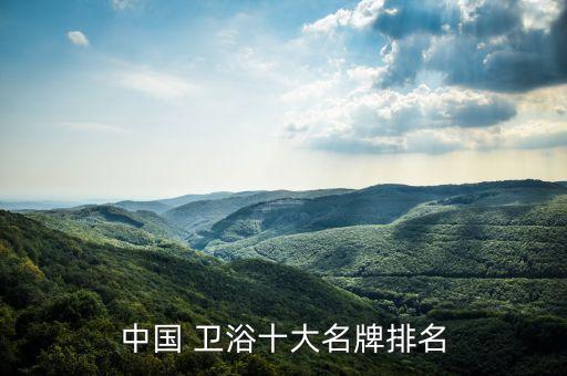 中國 衛(wèi)浴十大名牌排名