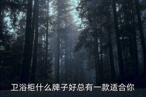 浙江大戶型衛(wèi)浴柜品牌