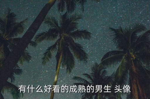 有什么好看的成熟的男生 頭像