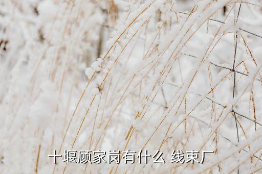 衛(wèi)浴線束加工廠招聘電話,附近的線束加工廠招聘