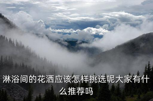 淋浴間的花灑應(yīng)該怎樣挑選呢大家有什么推薦嗎