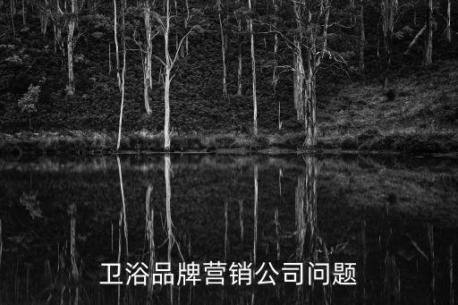 潔具衛(wèi)浴品牌營銷公司問題