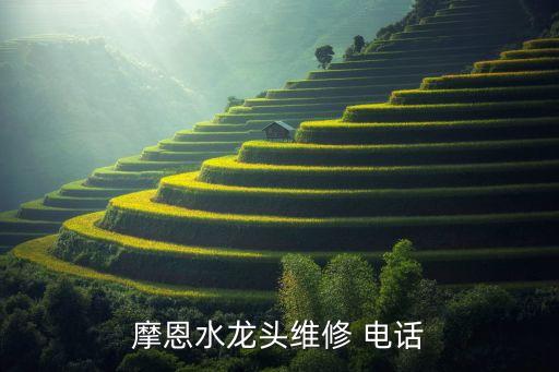 摩恩水龍頭維修 電話